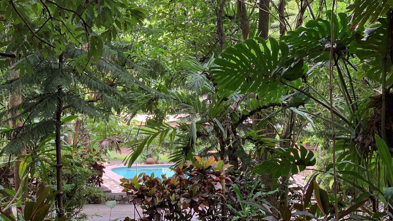 Photo of Outdoor in Huehuetlan