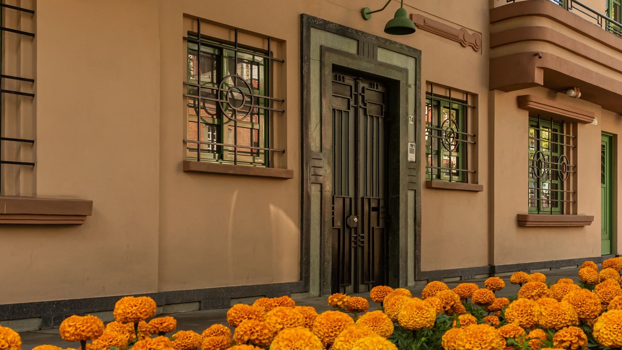 Photo of Outdoor in Roma Norte