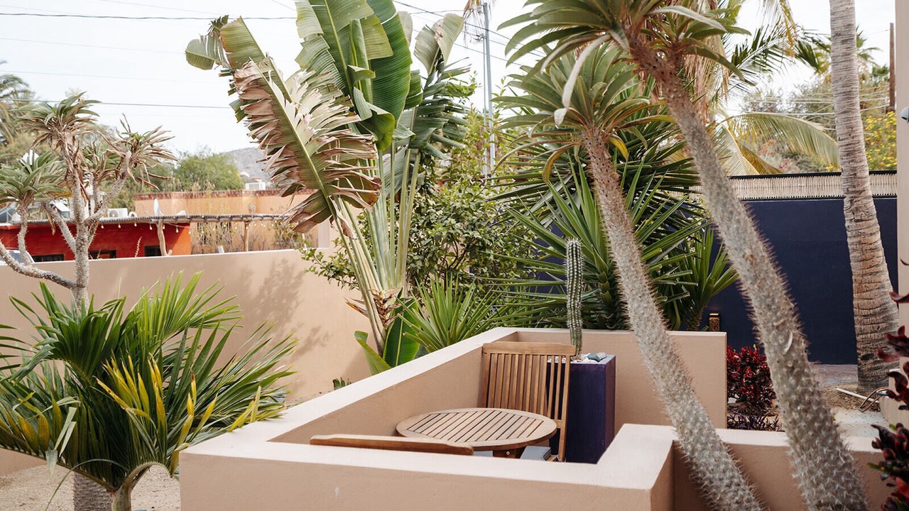 Photo of Outdoor in Los Barriles