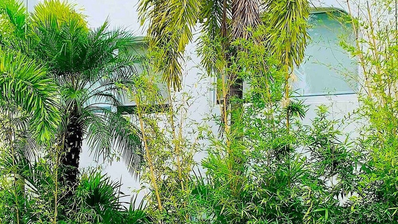 Photo of Outdoor in Jojutla