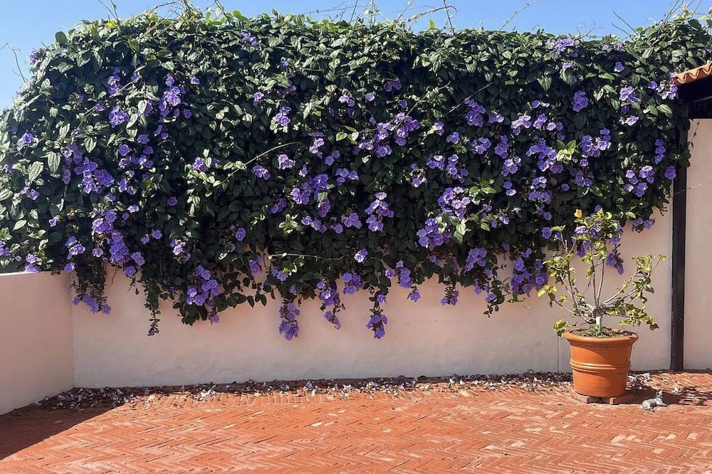 Photo of Outdoor in San Juan Cosala