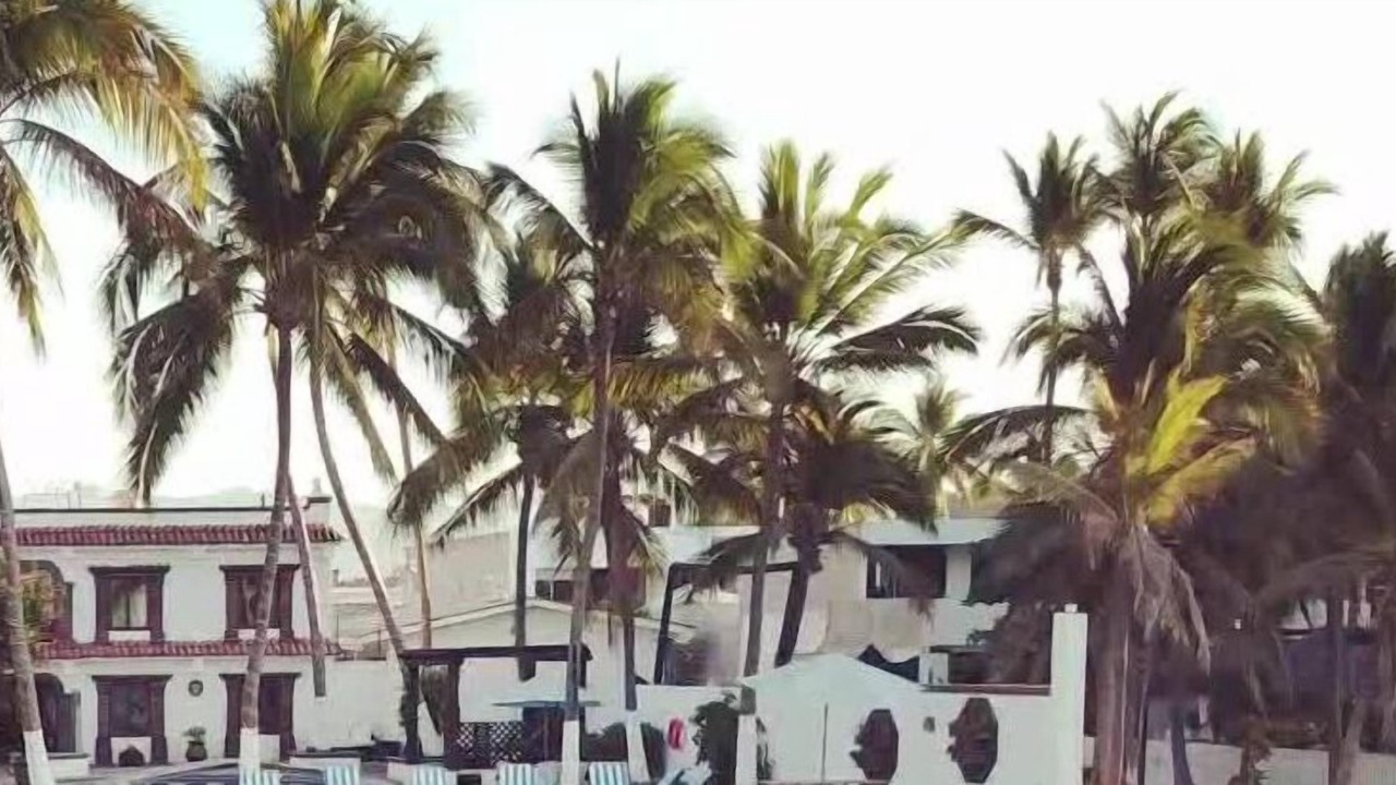 Photo of Outdoor in Centro