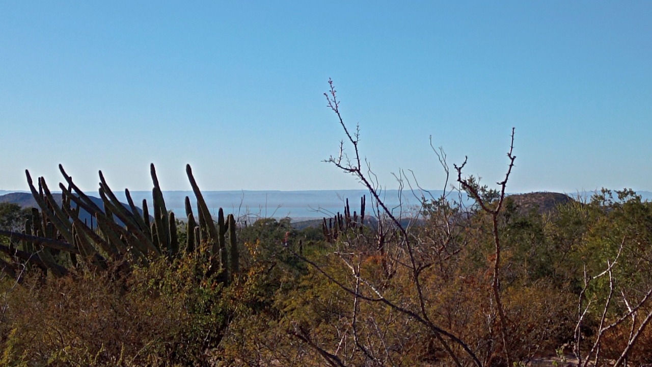Photo of Others in La Paz