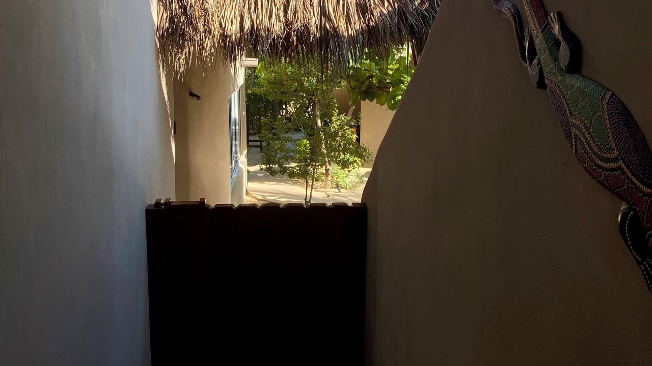 Photo of Others in San Pedro Mixtepec
