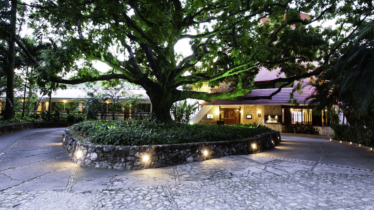 Photo of Outdoor in Palenque