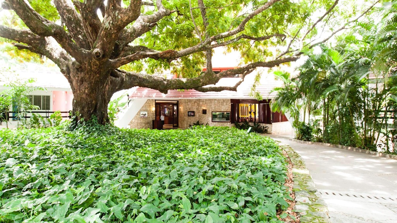 Photo of Outdoor in Palenque