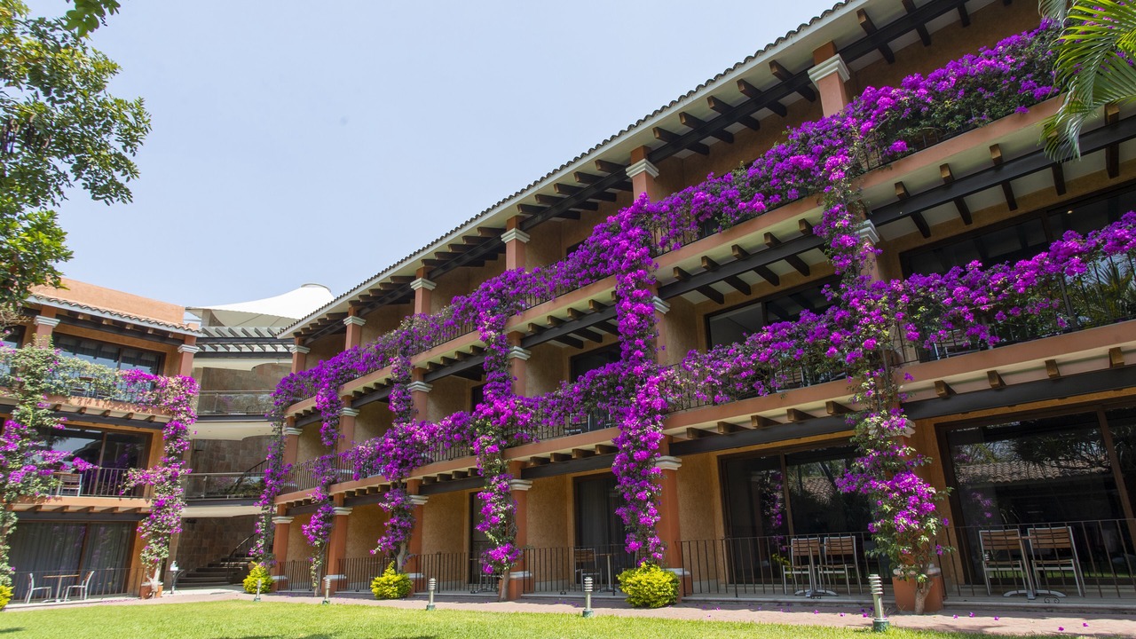 Photo of Outdoor in Las Quintas