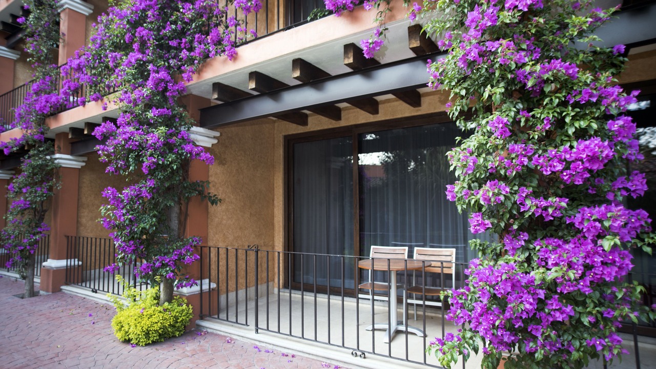 Photo of Patio Balcony in Las Quintas