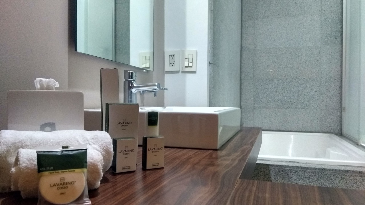Photo of Bathroom in Queretaro