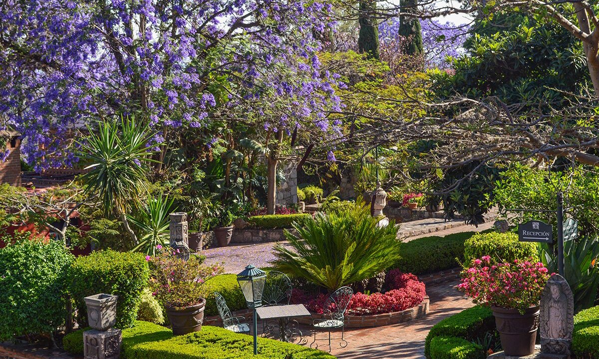 Photo of Outdoor in Vista Bella