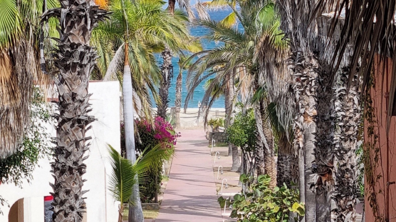 Photo of Outdoor in Buenavista
