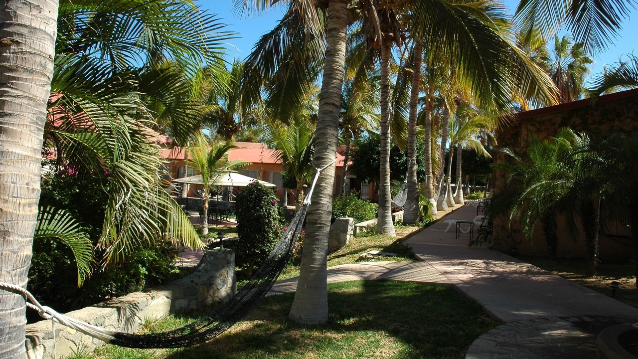 Photo of Outdoor in Buenavista