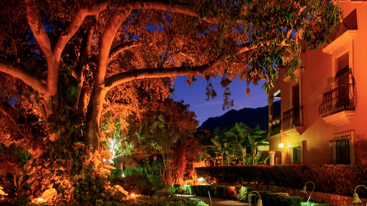 Photo of Outdoor in Centro