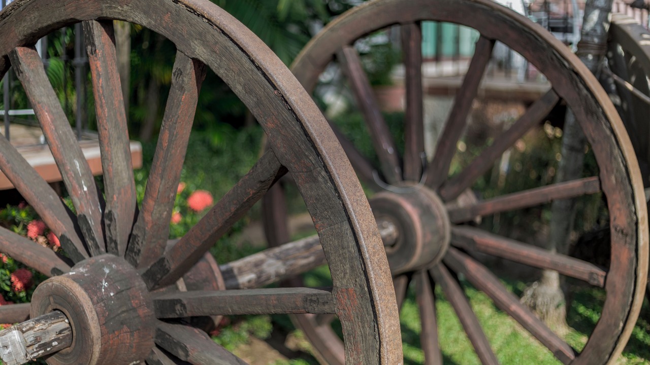 Photo of Outdoor in North Hotel Zone