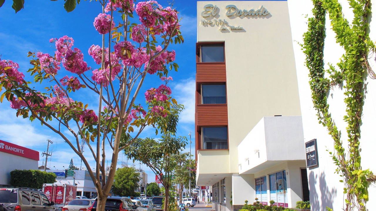 Photo of Outdoor in Los Mochis