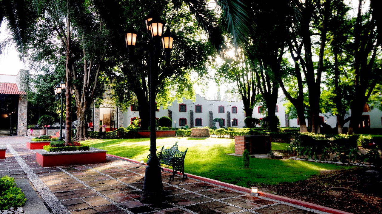 Photo of Others in San Juan del Rio