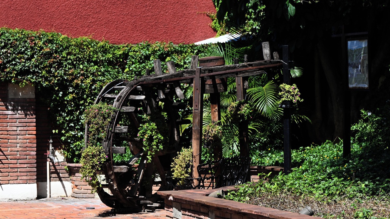 Photo of Outdoor in Oaxaca