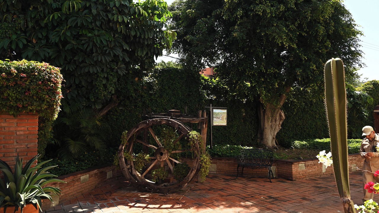 Photo of Outdoor in Oaxaca