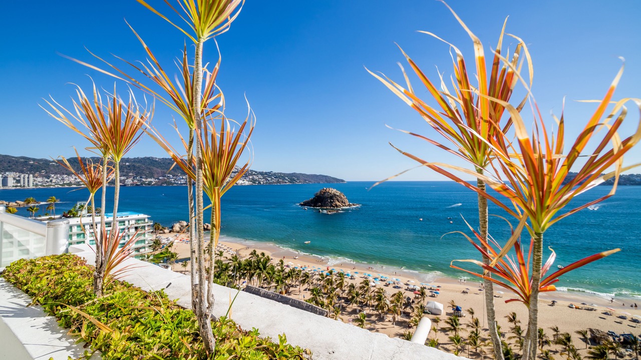 Photo of Others in Costera Acapulco