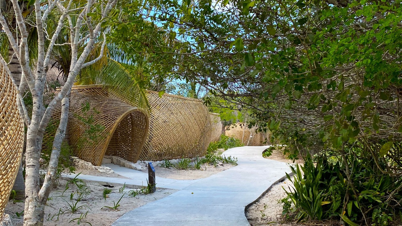 Photo of Outdoor in Celestun