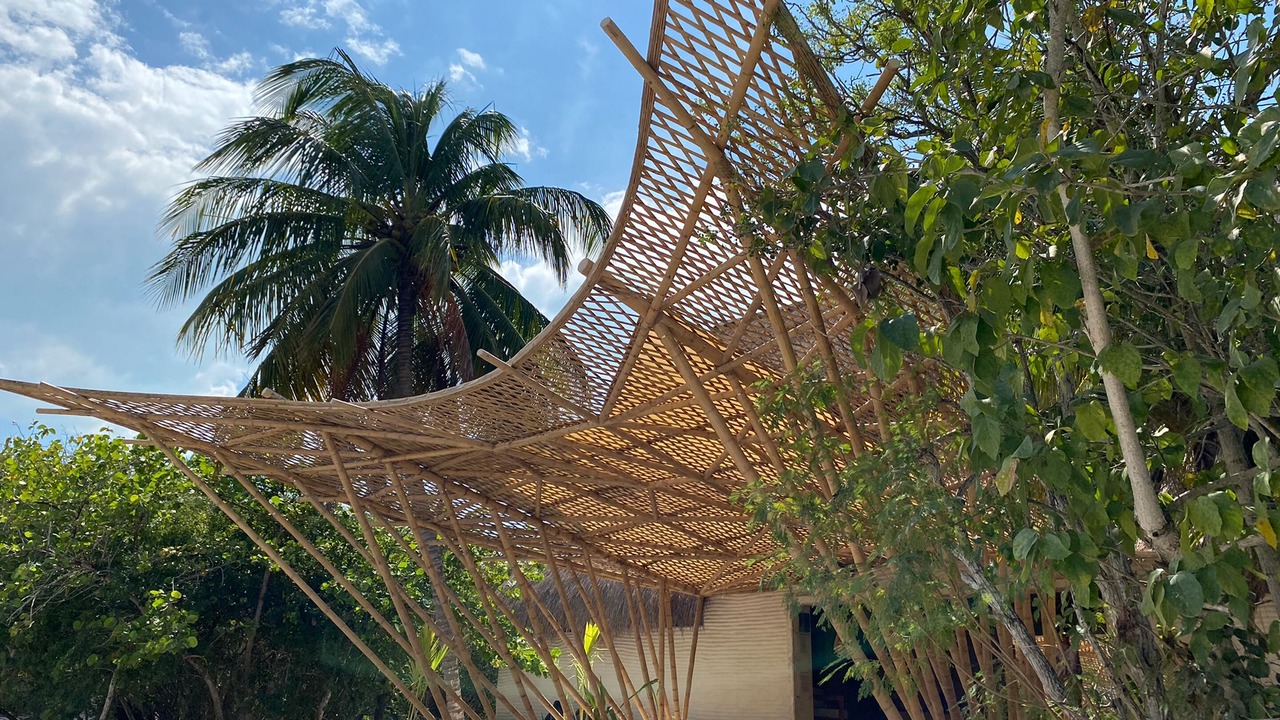 Photo of Outdoor in Celestun