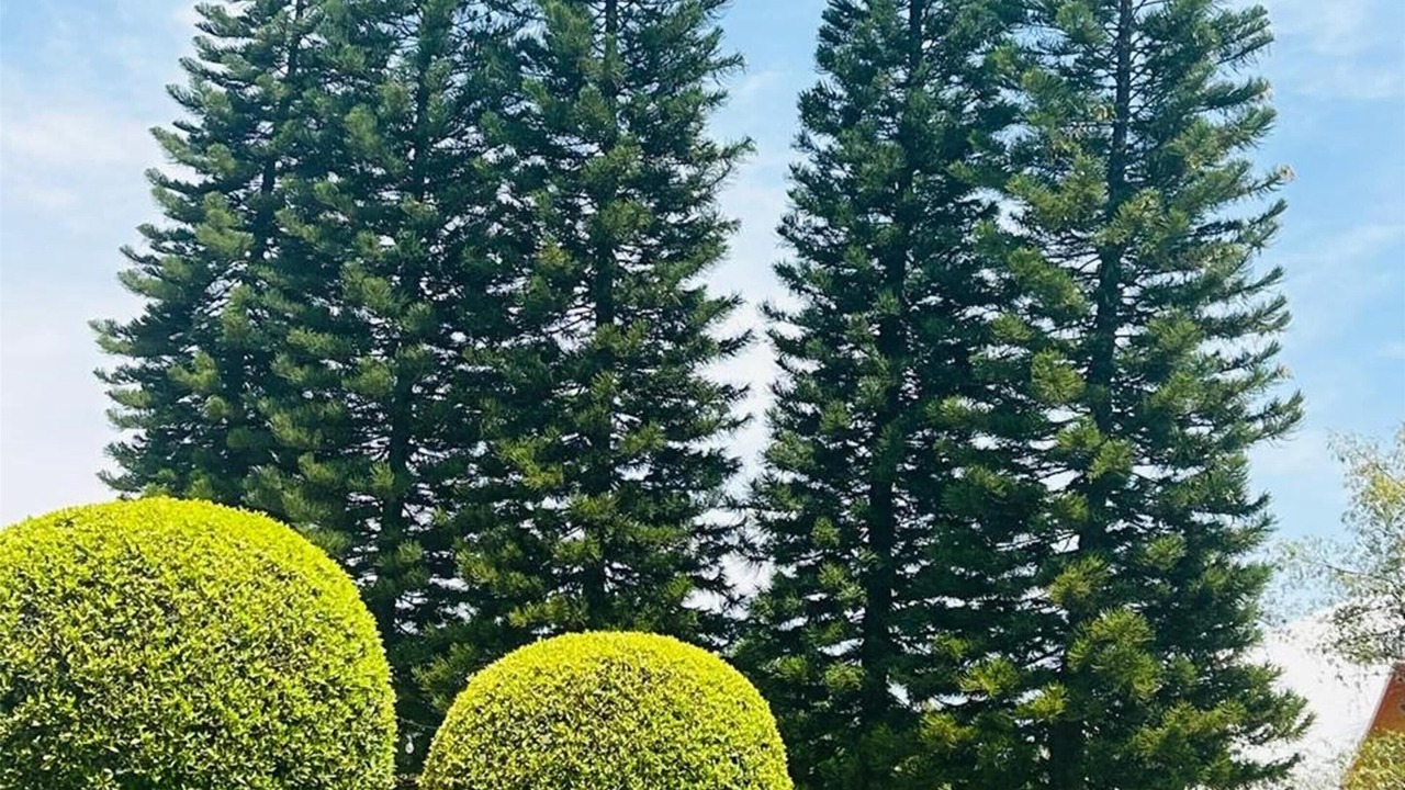 Photo of Outdoor in Morelia