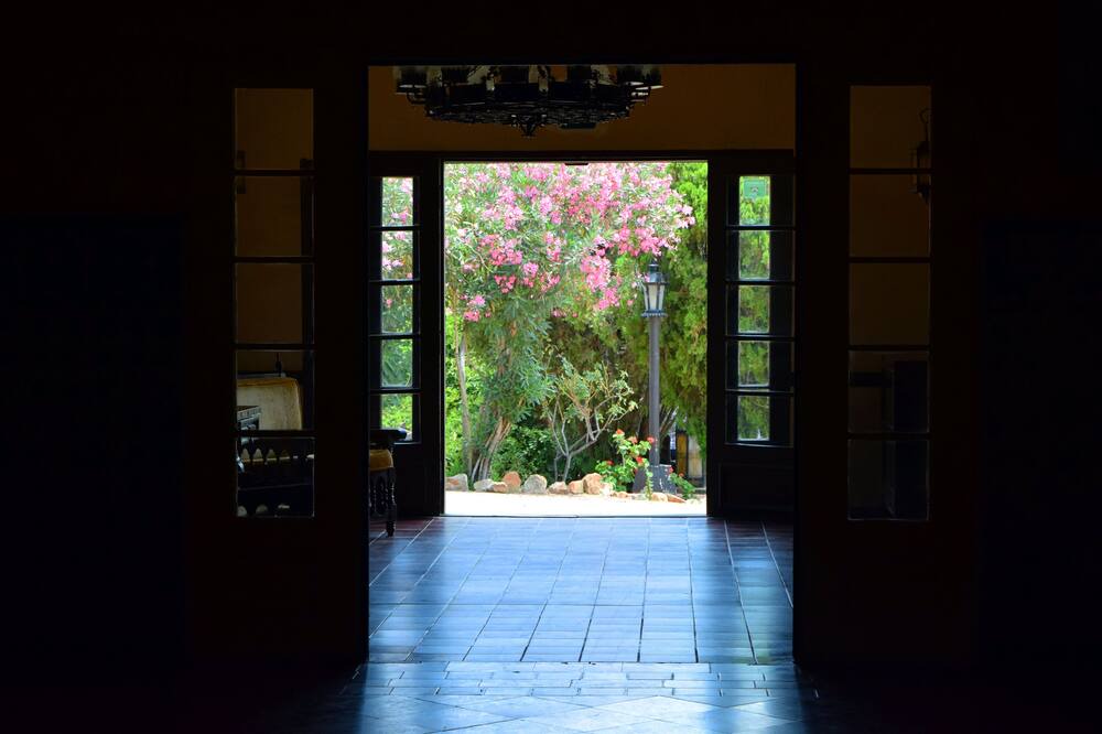Photo of Others in Tecate