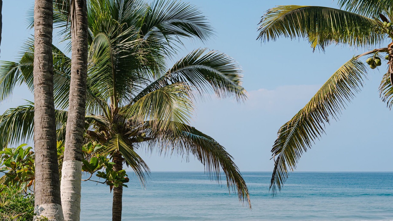 Photo of Outdoor in Boca de Iguanas