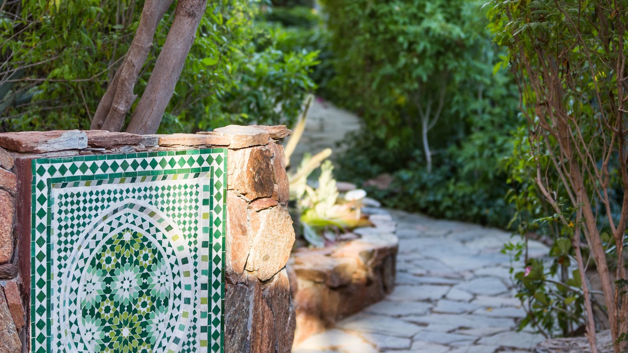 Photo of Outdoor in Todos Santos