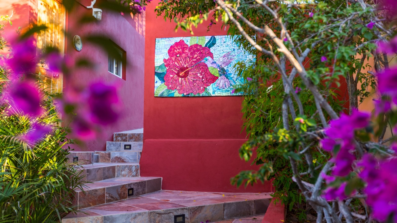 Photo of Outdoor in Todos Santos