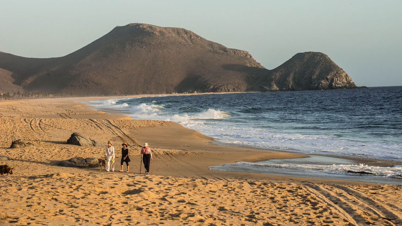 Photo of Others in Todos Santos
