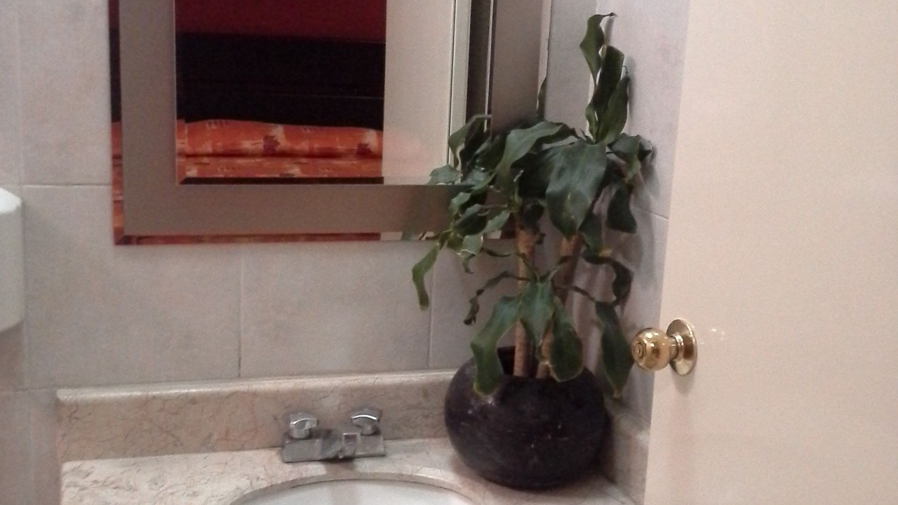 Photo of Bathroom in Puebla