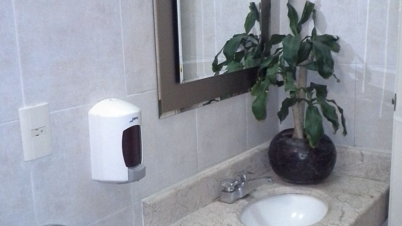 Photo of Bathroom in Puebla