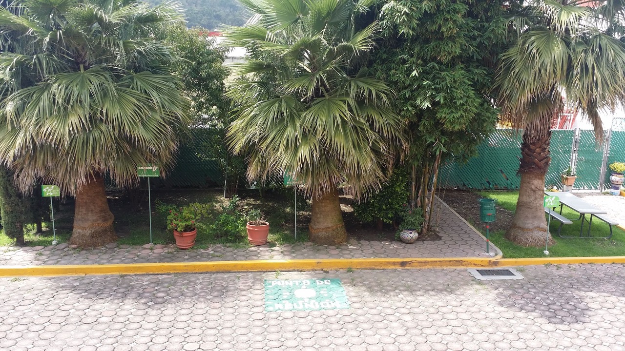 Photo of Outdoor in Puebla