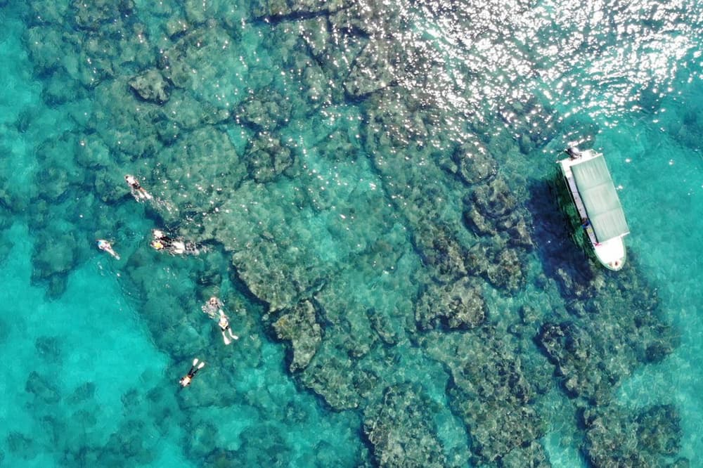 Photo of Outdoor in Cabo Pulmo