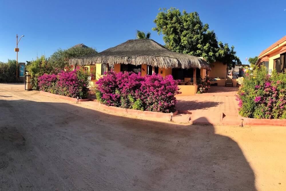 Photo of Outdoor in Cabo Pulmo