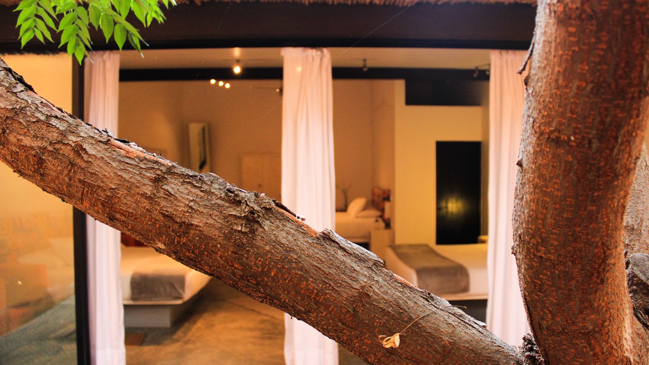Photo of Bedroom in San Jeronimo Tlacochahuaya