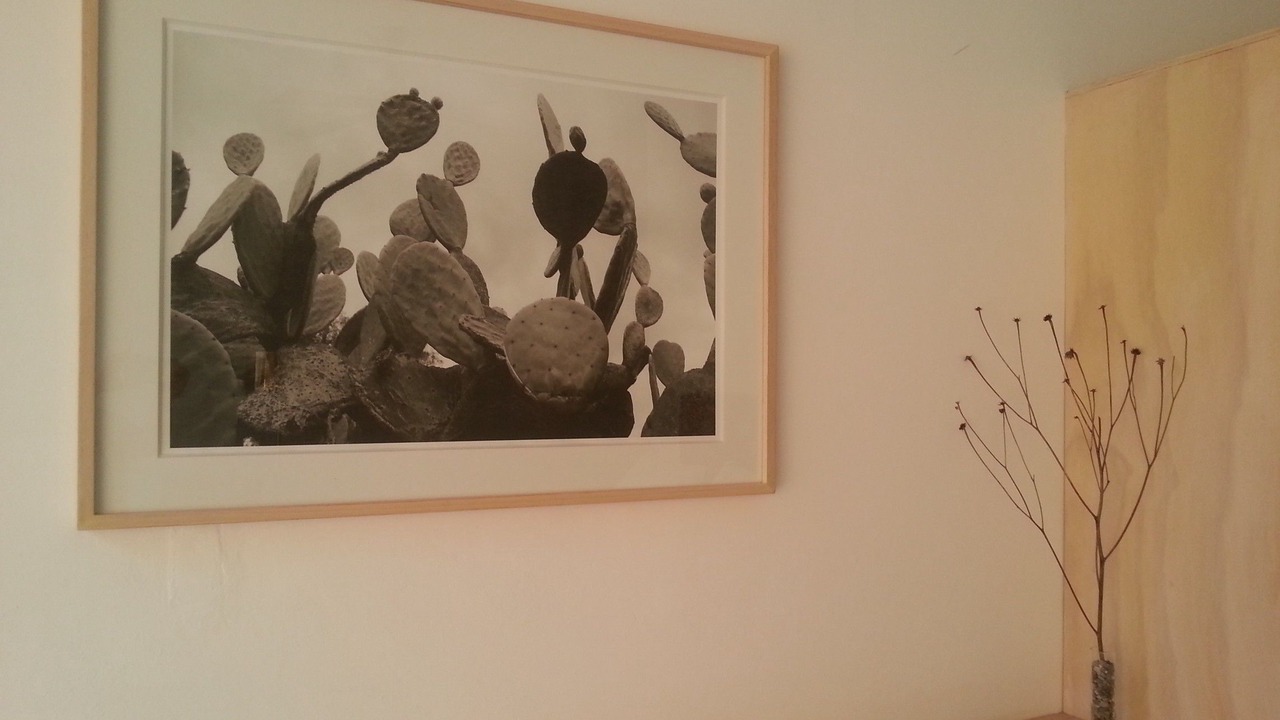 Photo of Bedroom in San Jeronimo Tlacochahuaya
