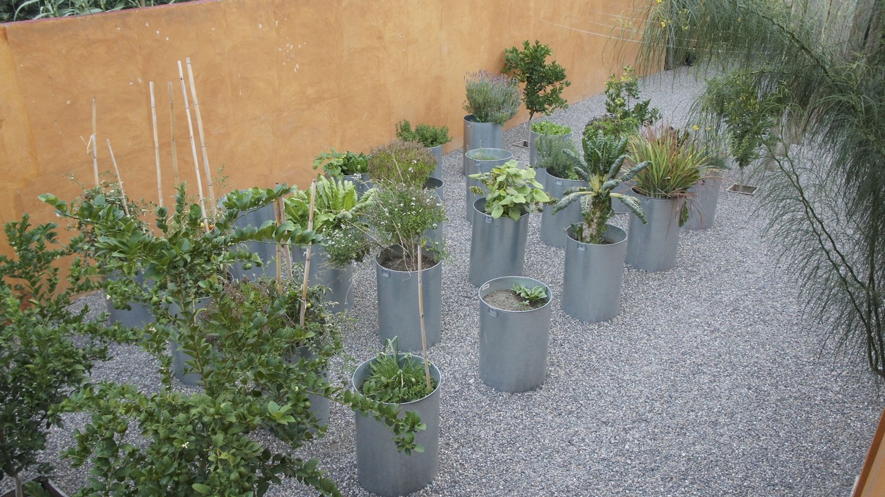 Photo of Outdoor in San Jeronimo Tlacochahuaya