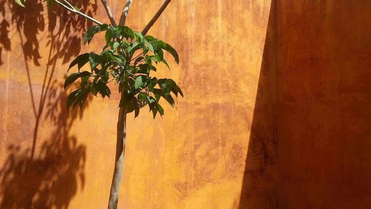 Photo of Patio Balcony in San Jeronimo Tlacochahuaya
