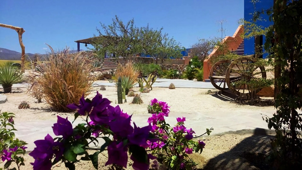 Photo of Outdoor in El Cardonal