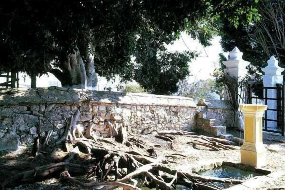 Photo of Outdoor in La Trinitaria