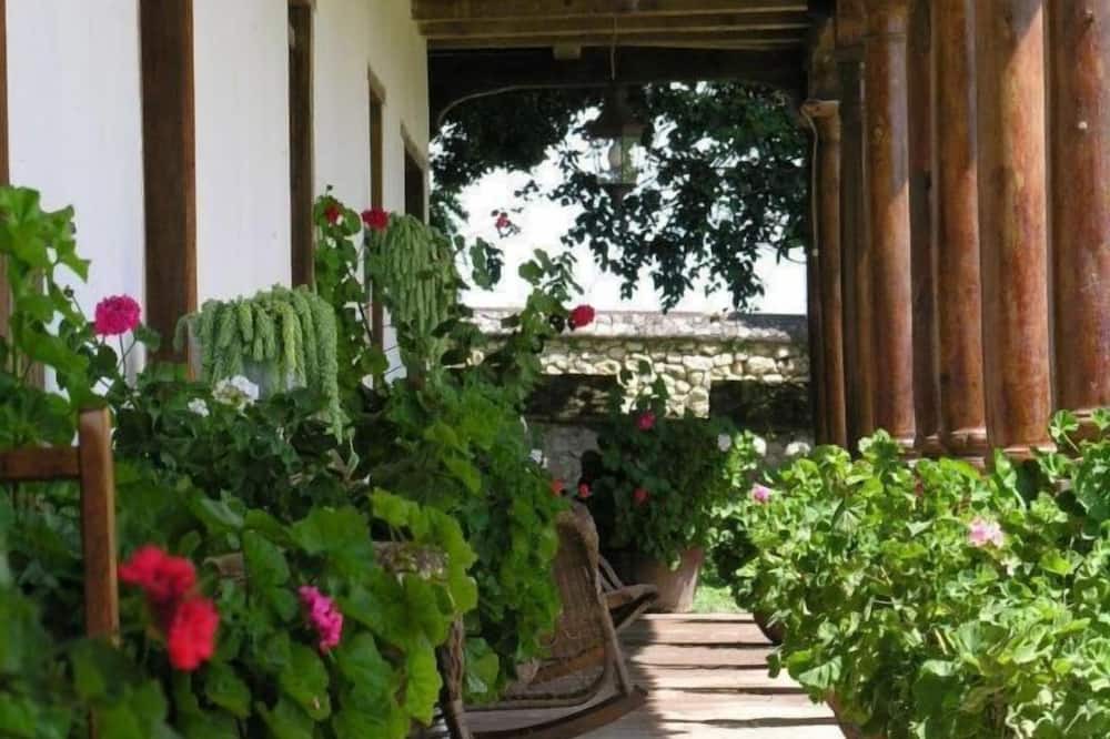 Photo of Outdoor in La Trinitaria