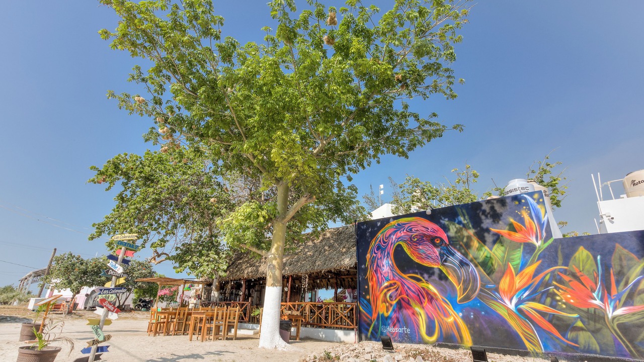 Photo of Outdoor in Rio Lagartos