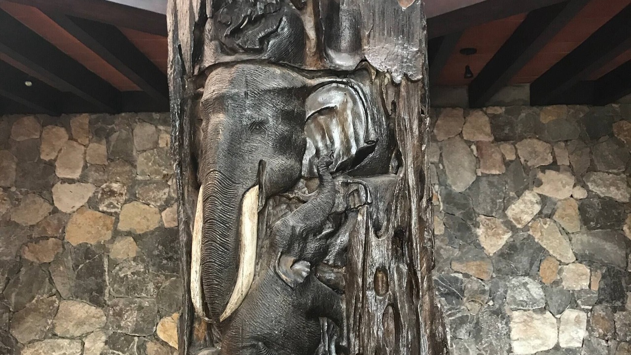 Photo of Others in Morelos
