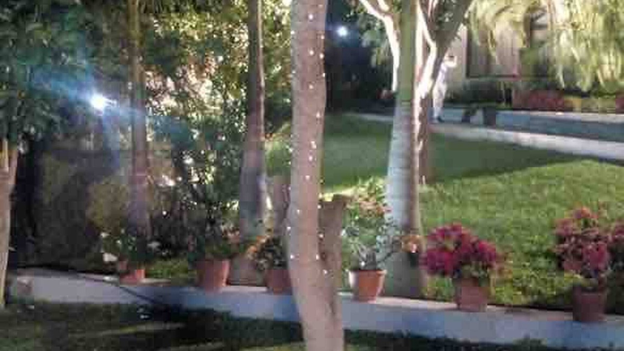 Photo of Outdoor in Morelos