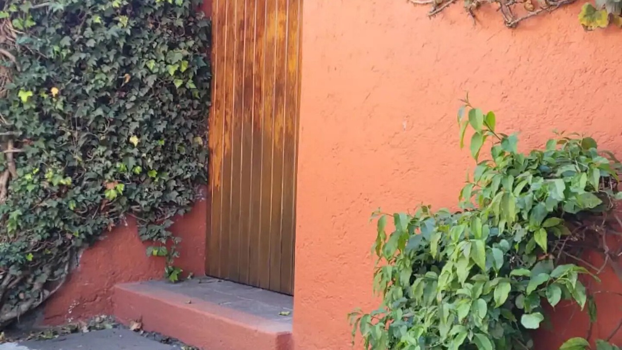 Photo of Outdoor in Magdalena Contreras