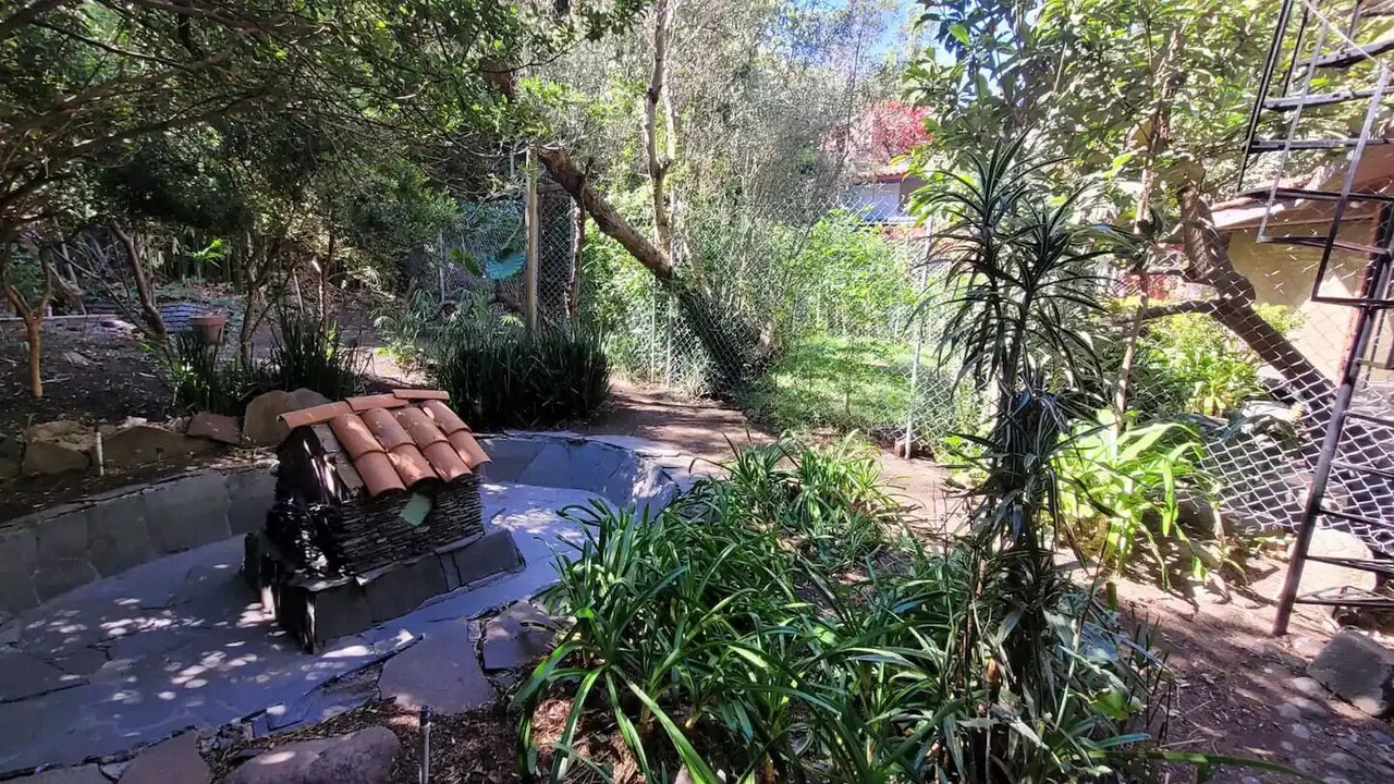 Photo of Outdoor in Magdalena Contreras
