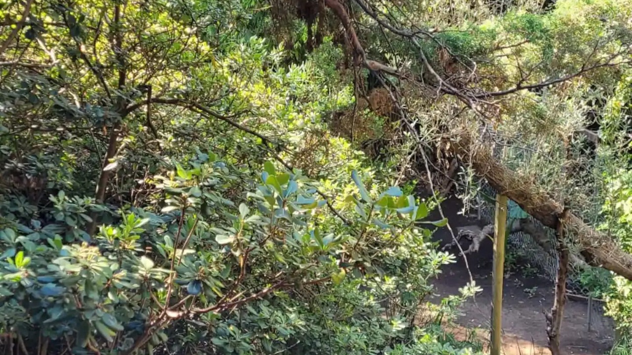 Photo of Outdoor in Magdalena Contreras