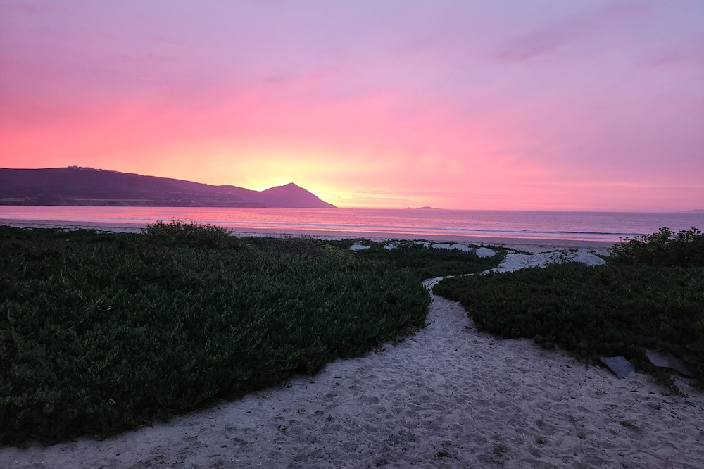 Photo of Others in Lengueta Arenosa